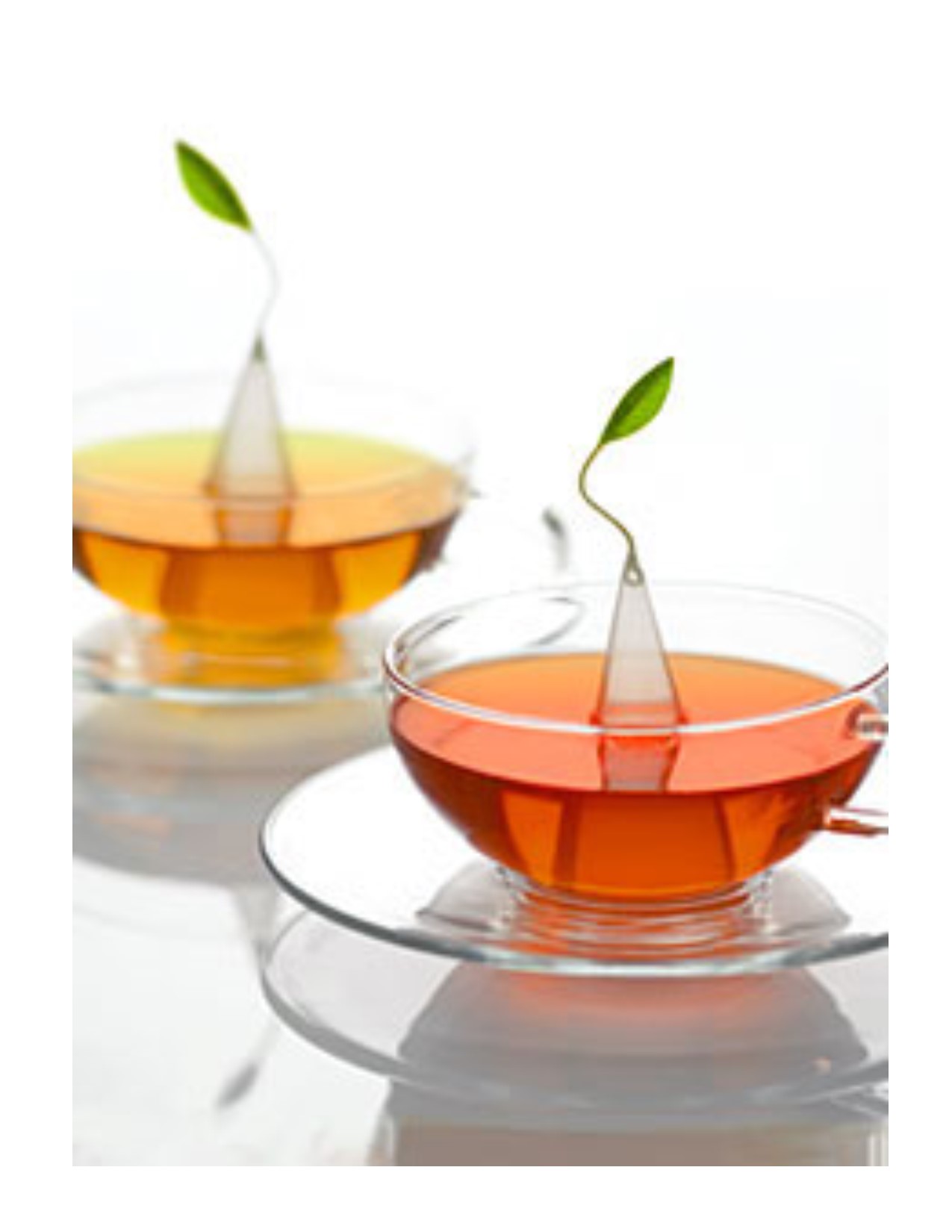 tea forte – Flatirons Family Pharmacy
